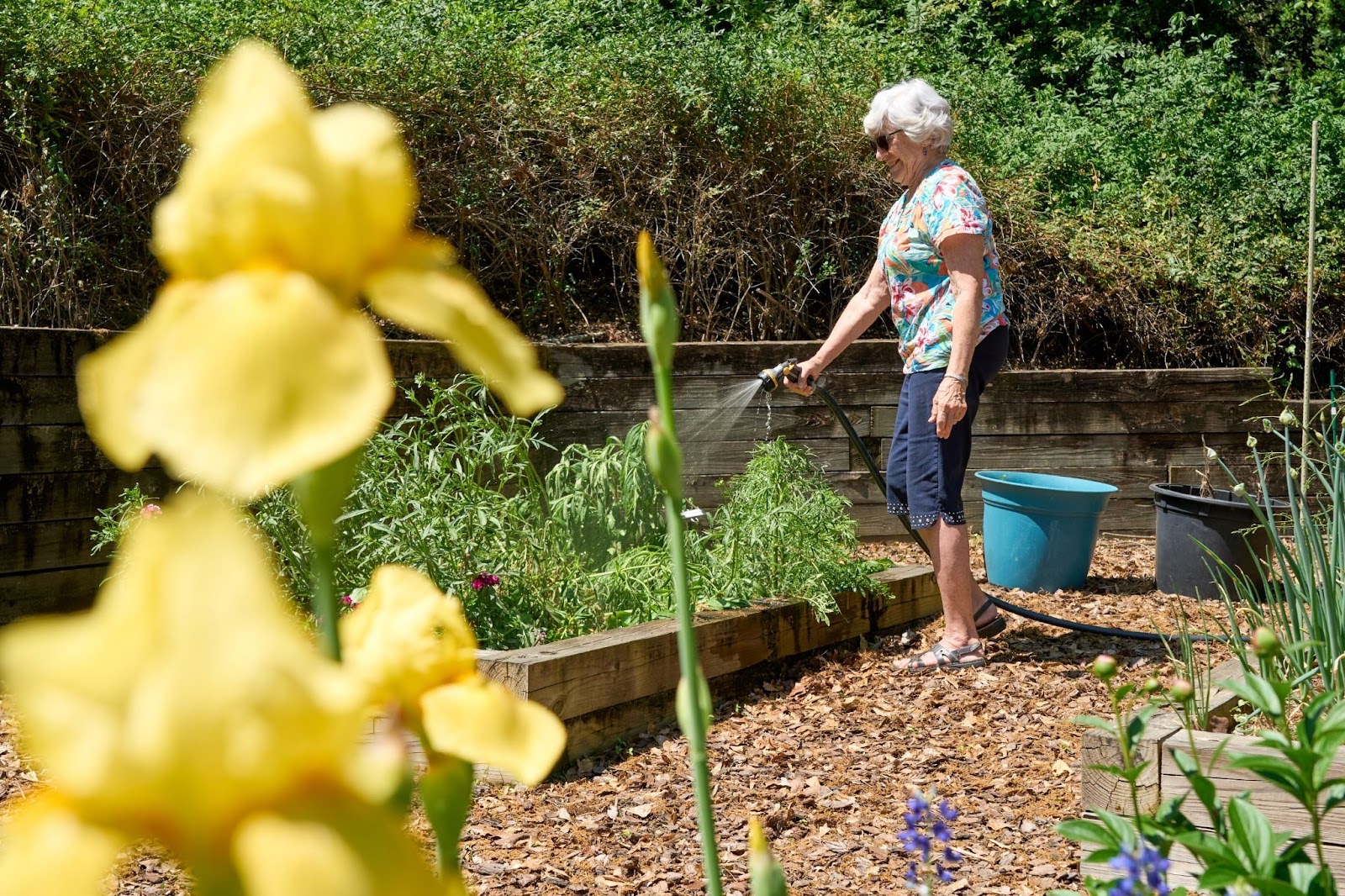 Woman watering garden plants