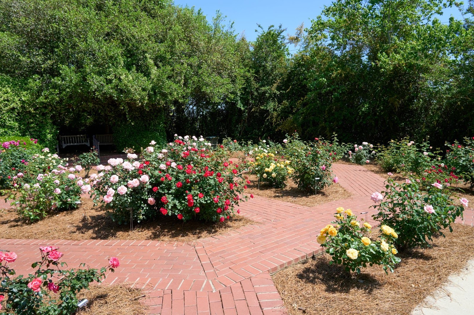 Flower Garden at Brandon Wilde